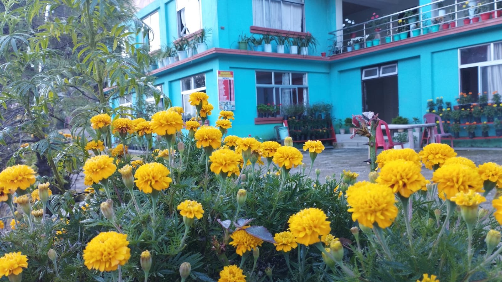 Heritage home interior